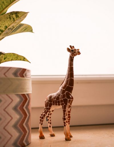 Die Giraffe ist immer mit dabei.